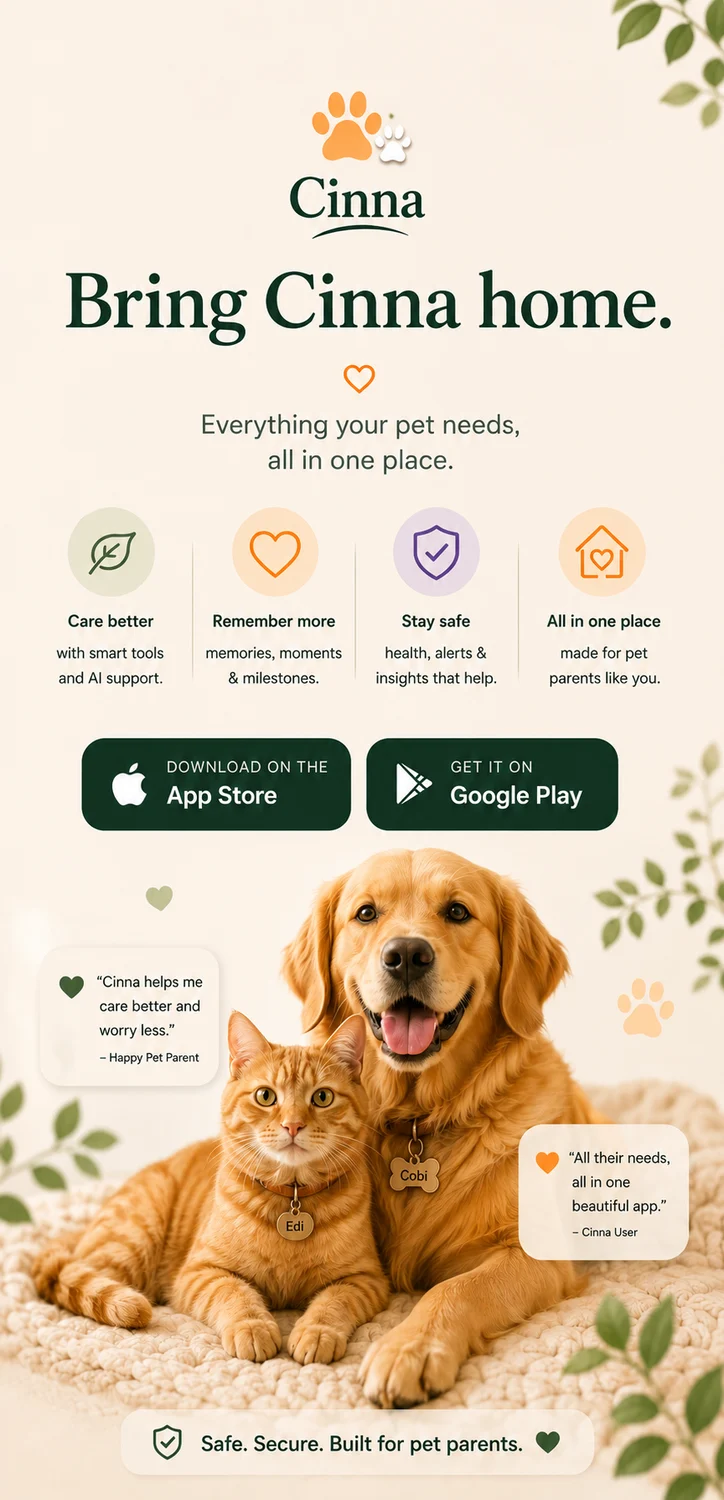Bring Cinna home — download on the App Store or Google Play